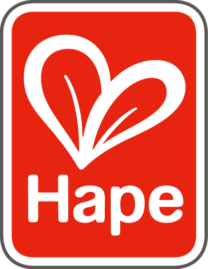 hape jouet